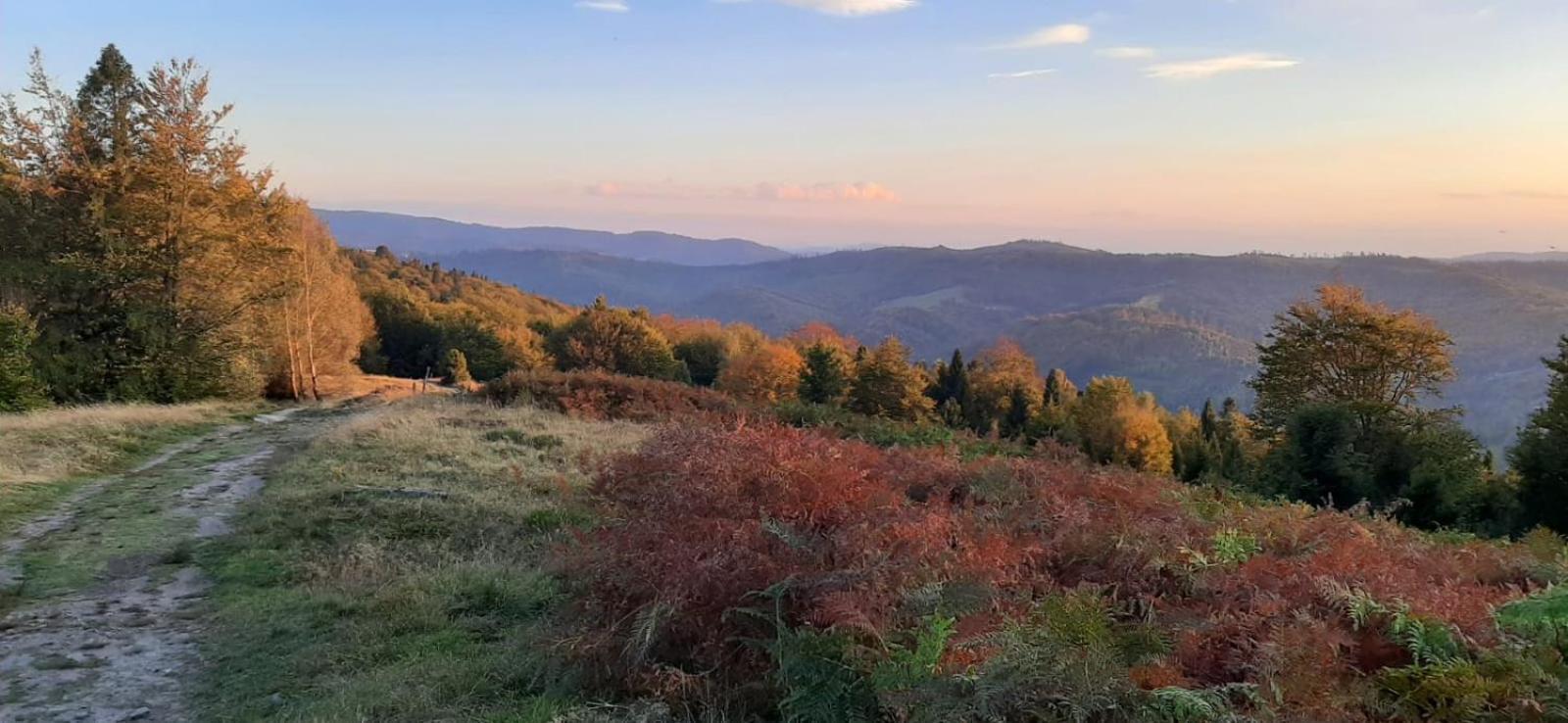 Spokoj W Gorach Brenna Exteriér fotografie